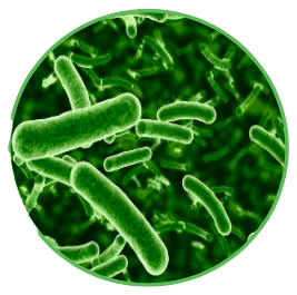 농업·축산·수산·임업·폐기물 처리 적용