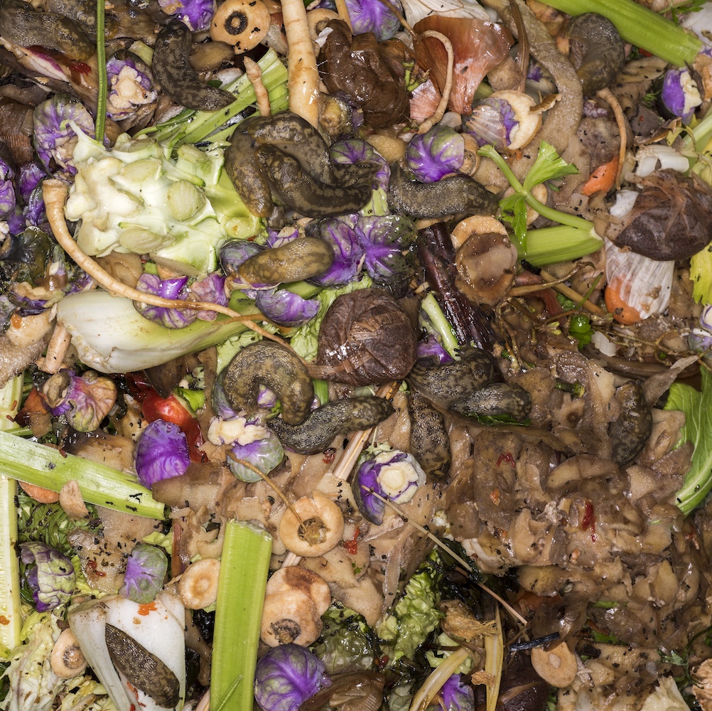 음식물쓰레기 악취(암모니아·아세트알데하이드·메틸머캅탄)