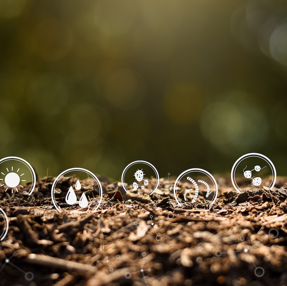 토양 내 영양 가용화와 입단 안정화