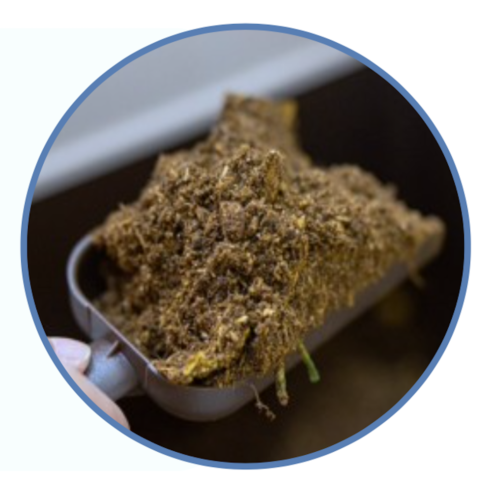 슬러지 분해 및 악취 저감